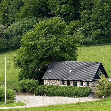 Stenhuset I Pilbrodalen Skanderborg Exterior photo